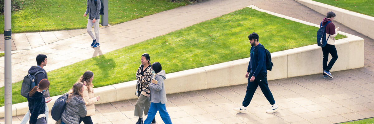 Students sit in small groups on some steps set into a grass bank.