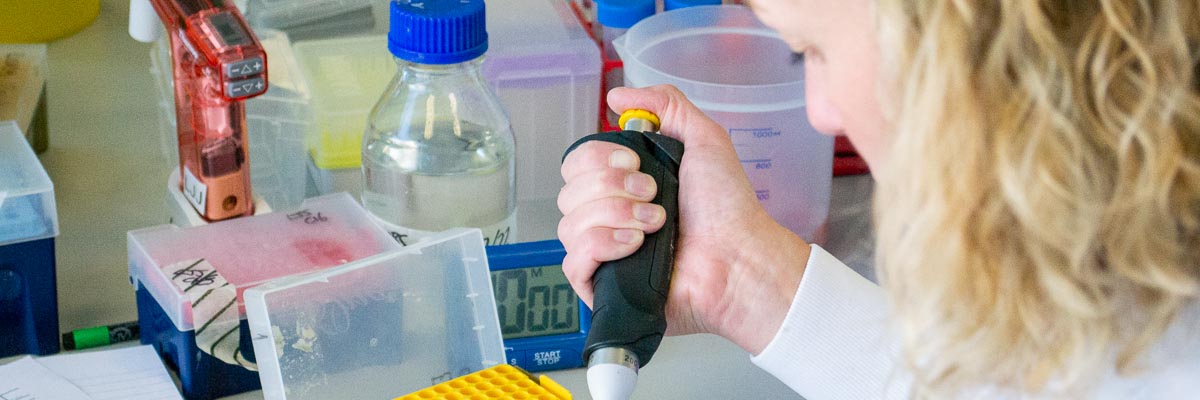 Dr Lucy Jackson Jones