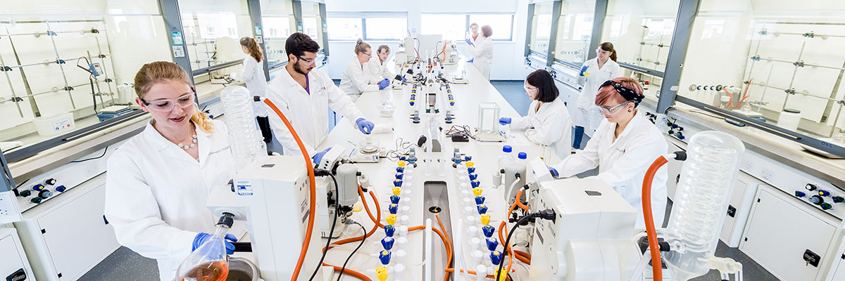 Two people work in a Biosciences laboratory.