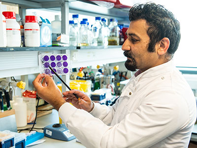 A researcher in a lab holding and pointing toward a petri dish containing samples.