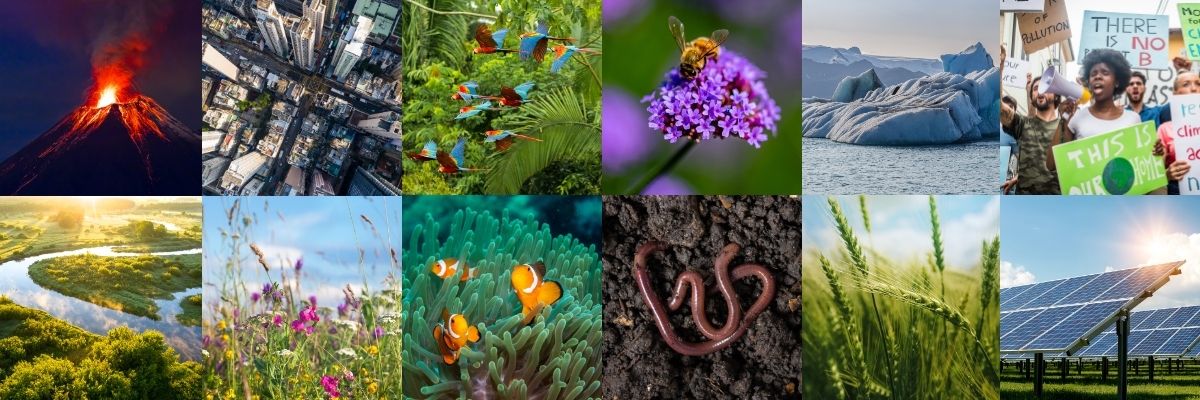 A composite image of different environments and landscapes showcasing the breadth of LEC research