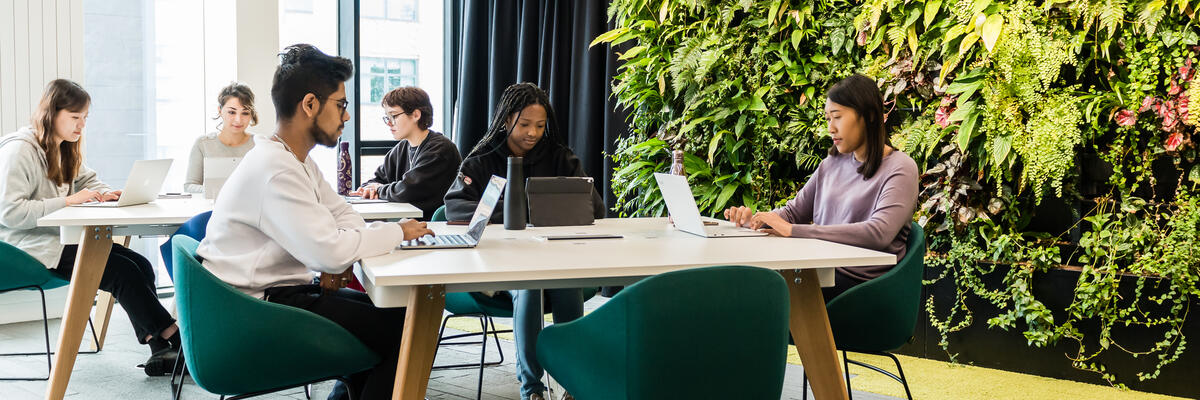 Students in the library