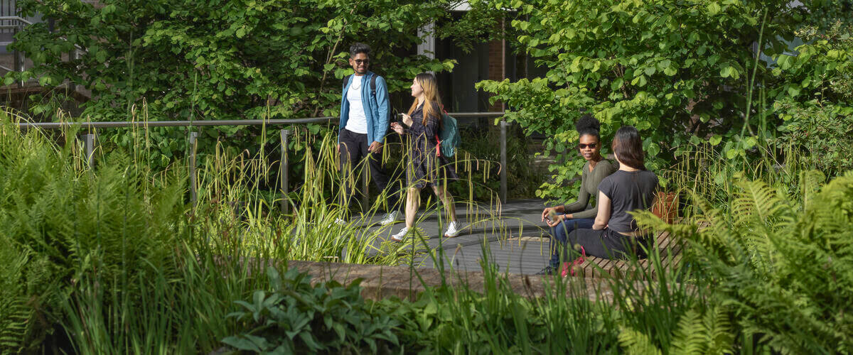 Students walk across campus surrounded by green foliage.