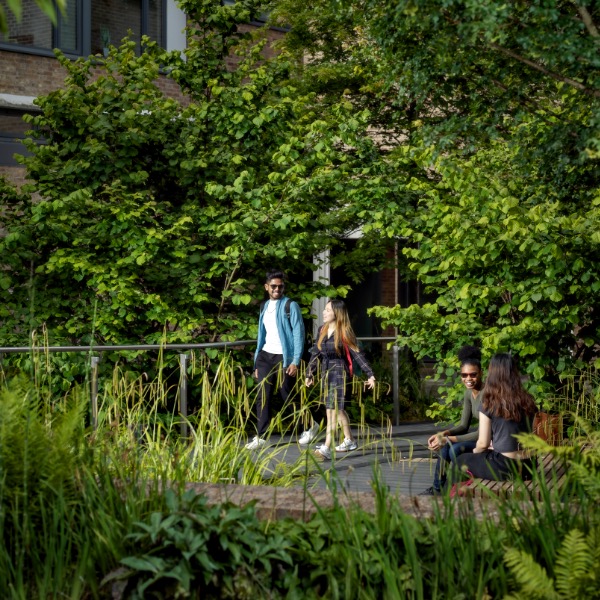 Students walk around our green campus