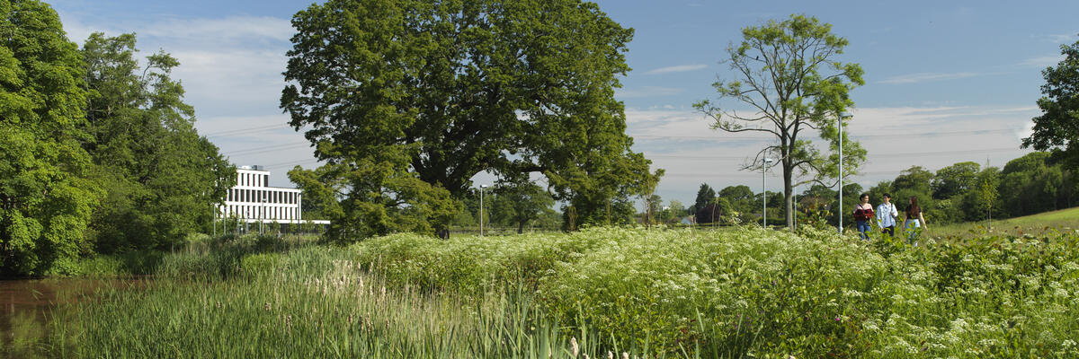 Students walk along a path surrounded by greenery.