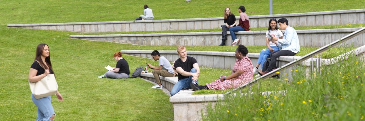 Students sit in small groups on some steps set into a grass bank.