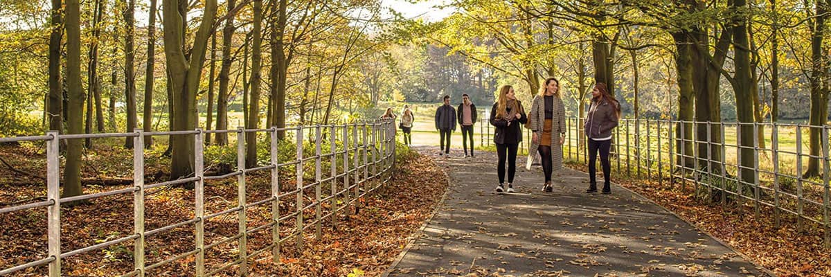Students walking towards us on a path through woodland on a sunny autumn day